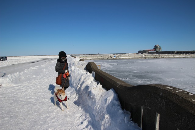 ファイル 22-1.jpg