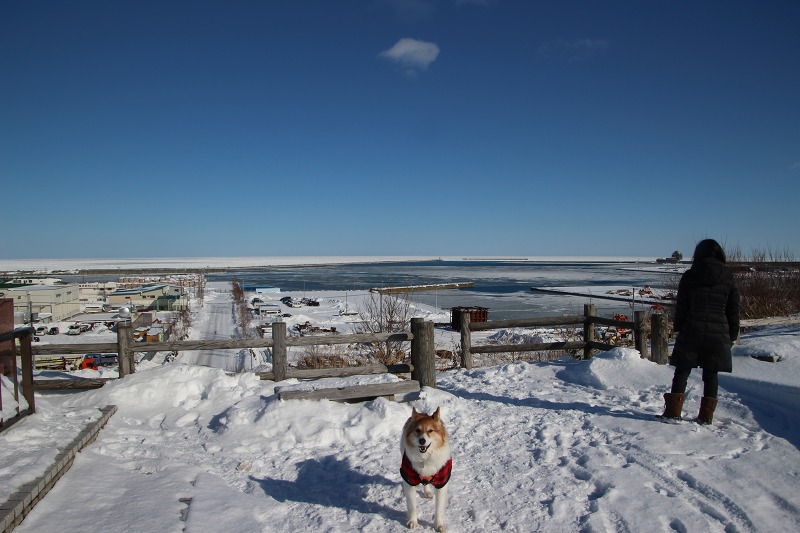 ファイル 22-6.jpg