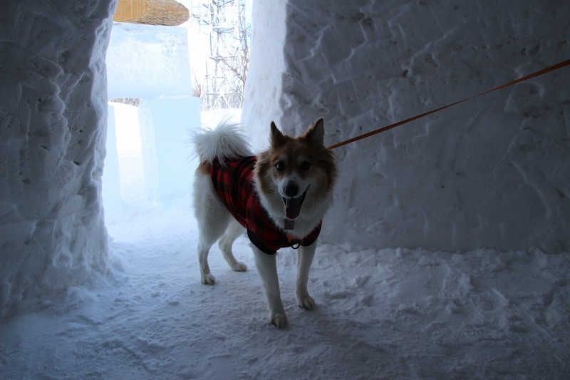 ファイル 23-3.jpg