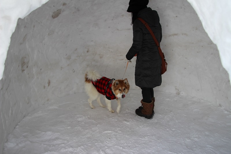 ファイル 23-4.jpg