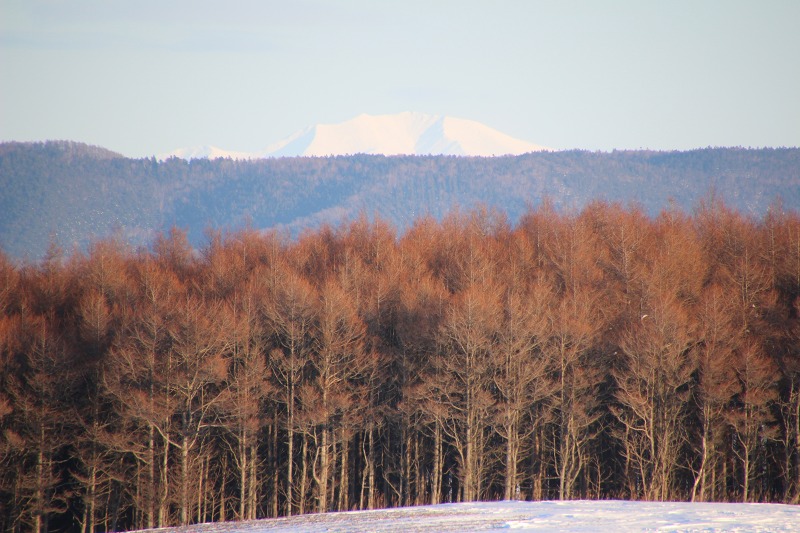 ファイル 24-4.jpg