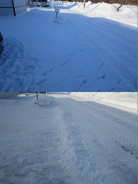 ファイル 27-3.jpg