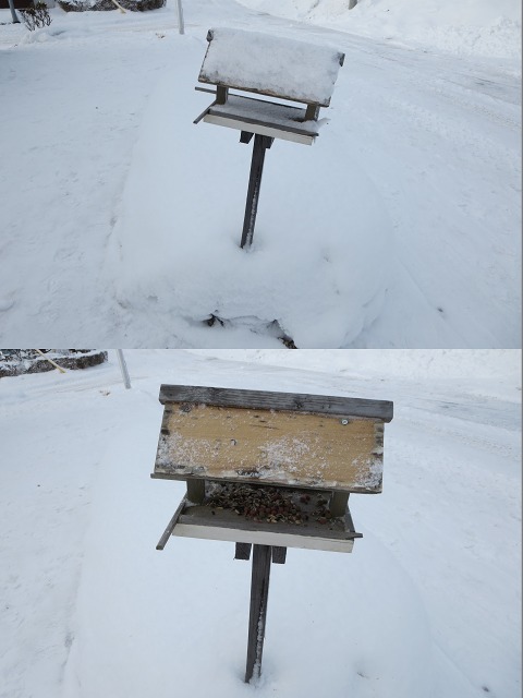 ファイル 27-8.jpg