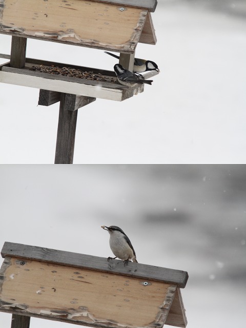 ファイル 27-9.jpg