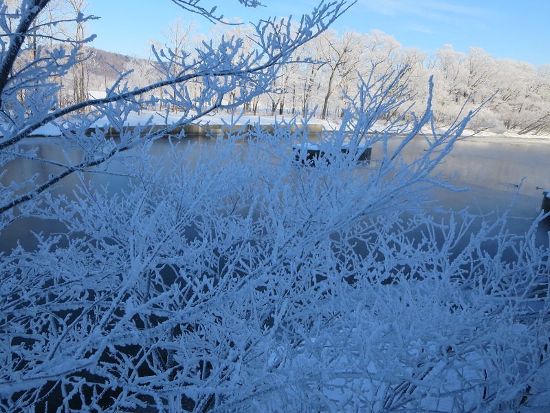 ファイル 28-2.jpg