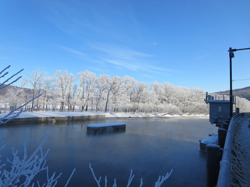 ファイル 28-3.jpg