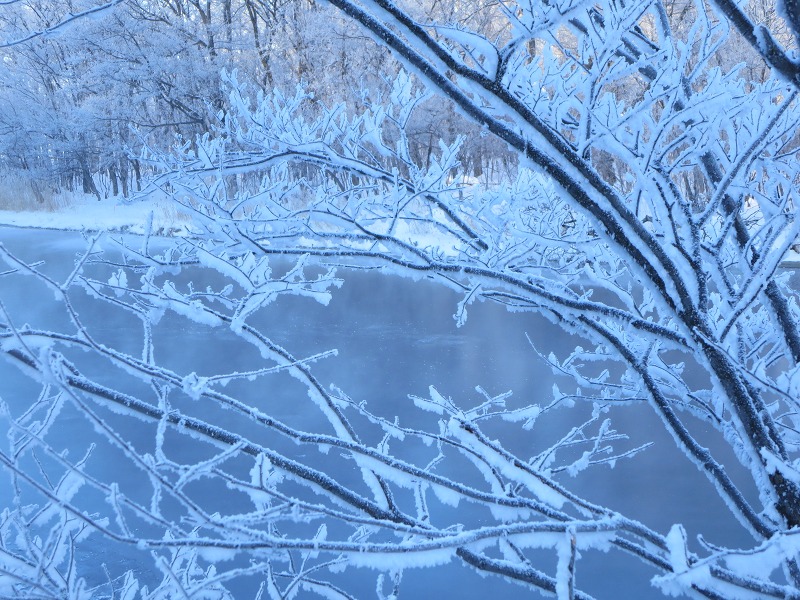 ファイル 28-4.jpg