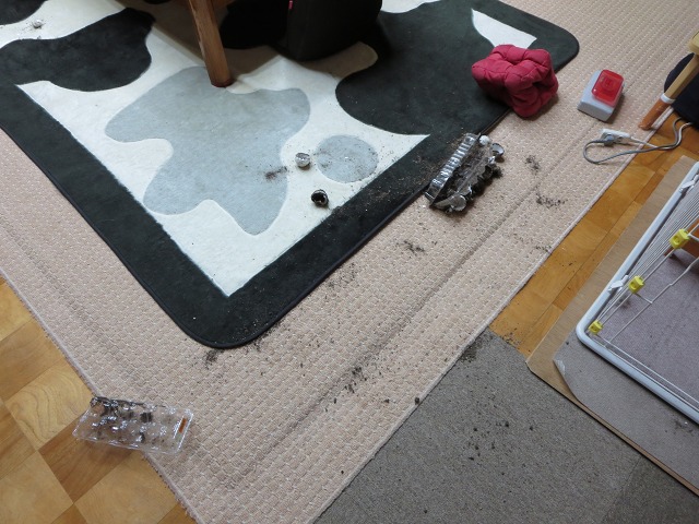 ファイル 29-1.jpg