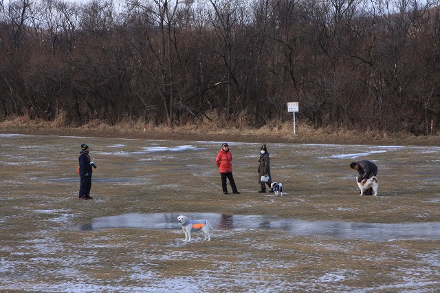 ファイル 3-1.jpg