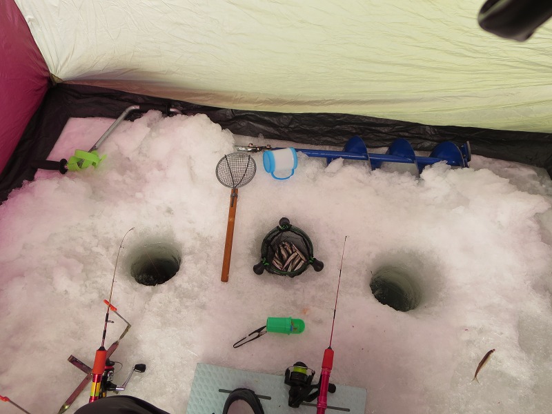 ファイル 31-2.jpg