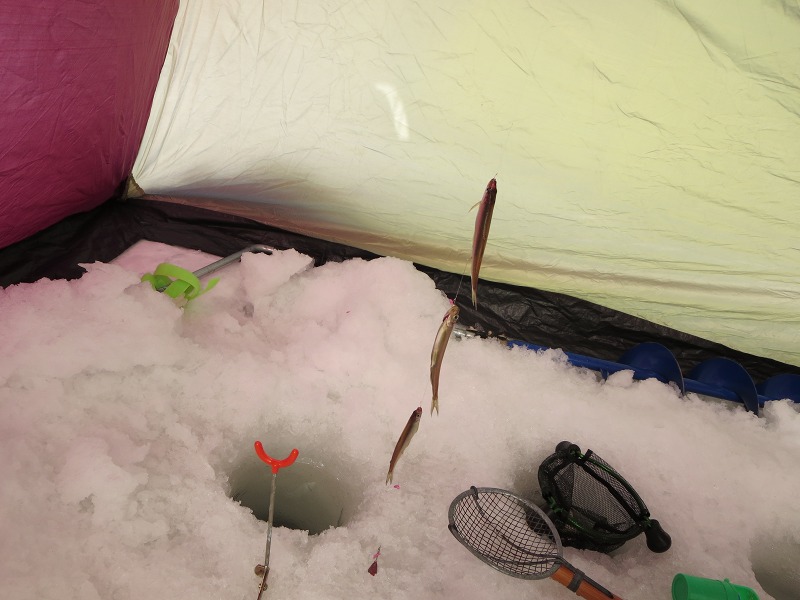 ファイル 31-4.jpg