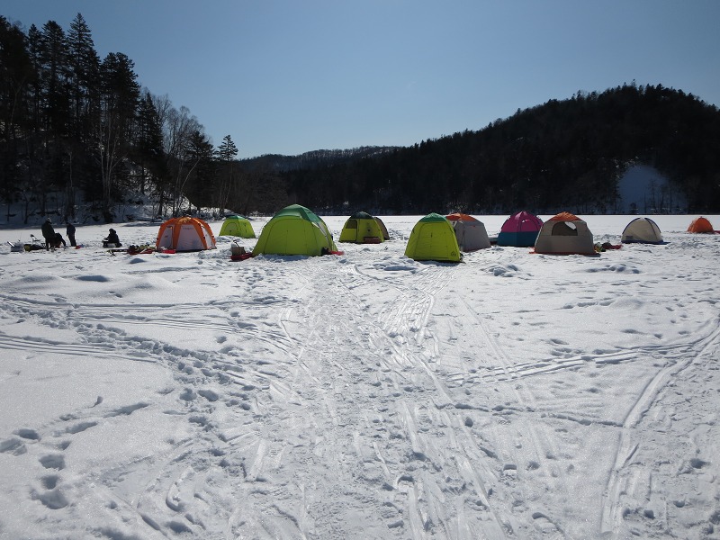 ファイル 31-5.jpg