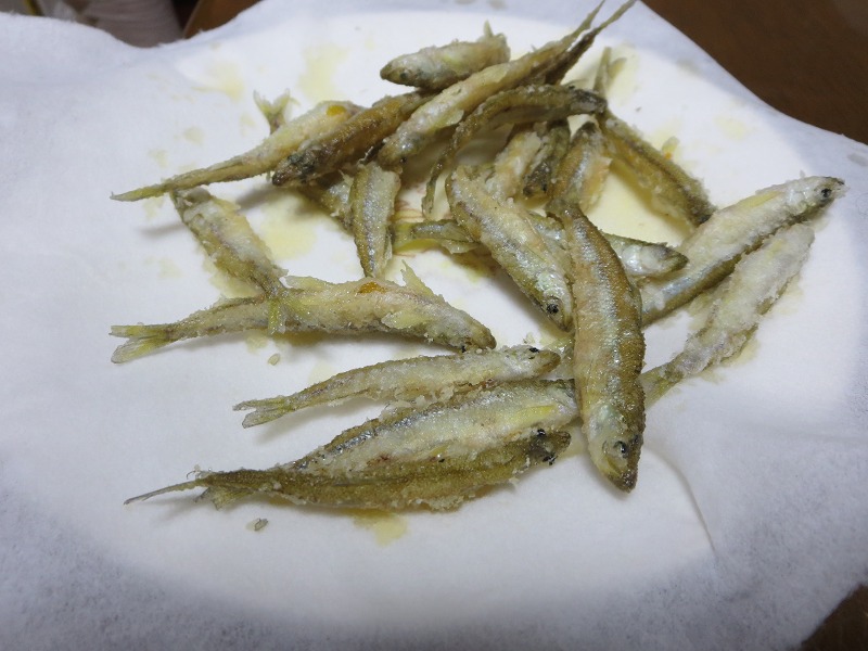 ファイル 31-7.jpg