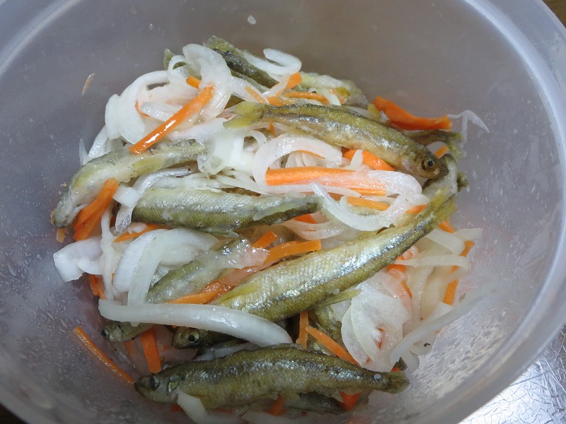 ファイル 31-8.jpg