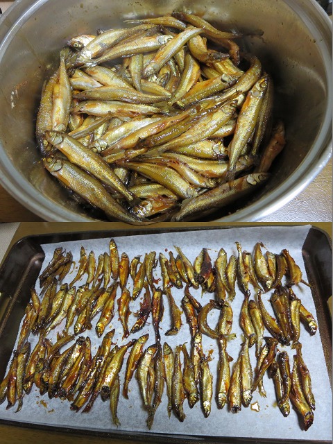 ファイル 31-9.jpg