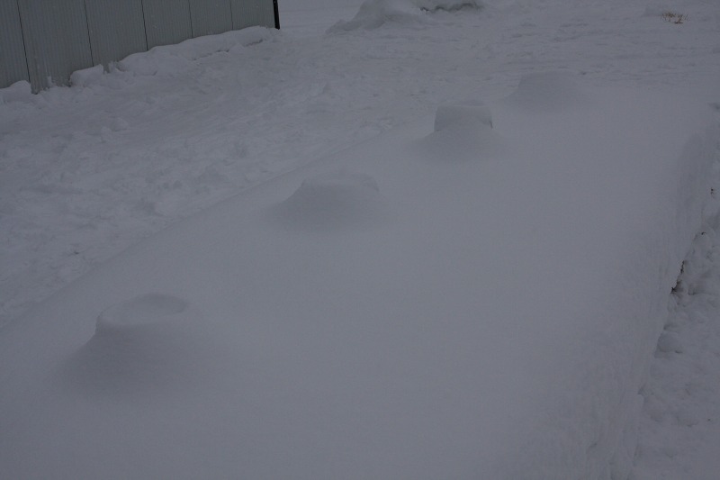 ファイル 32-4.jpg