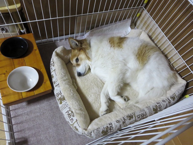 ファイル 34-9.jpg