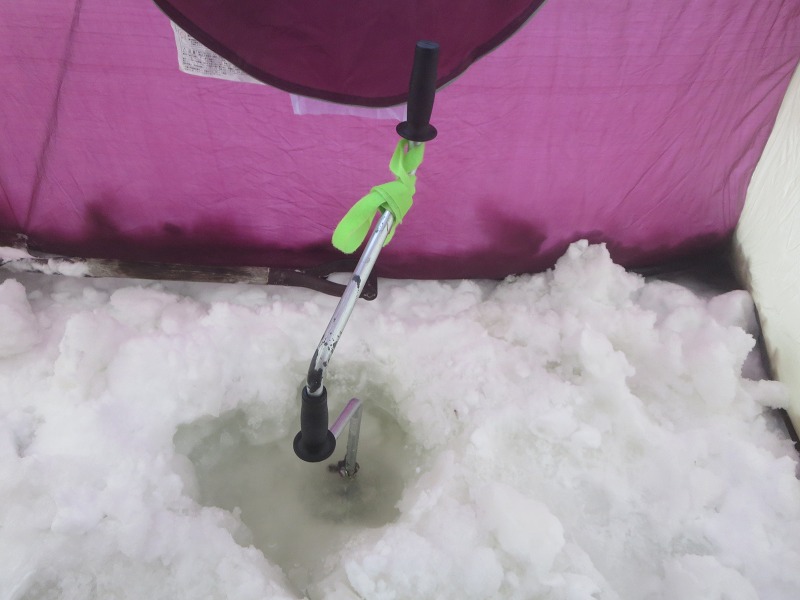 ファイル 35-2.jpg