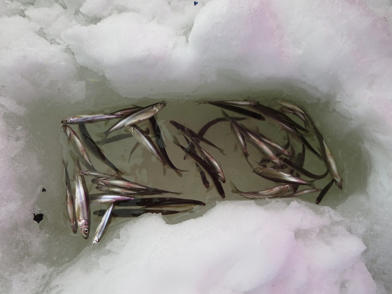 ファイル 35-3.jpg