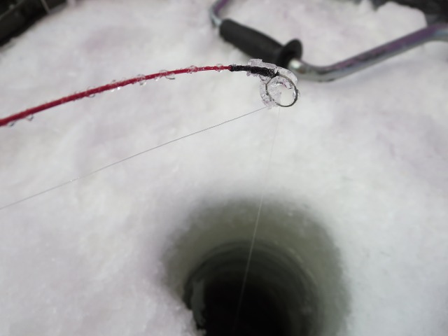 ファイル 37-7.jpg