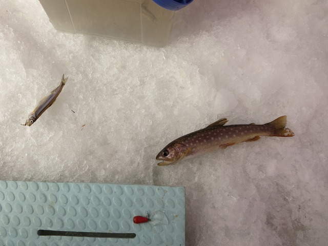 ファイル 37-8.jpg