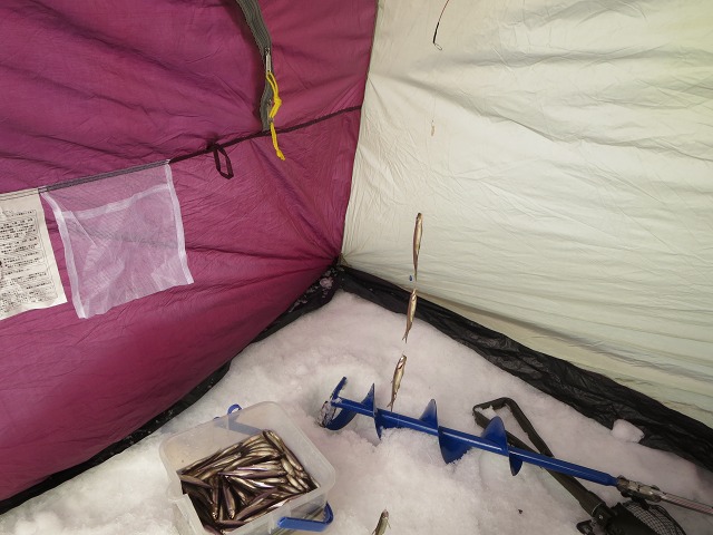 ファイル 37-9.jpg