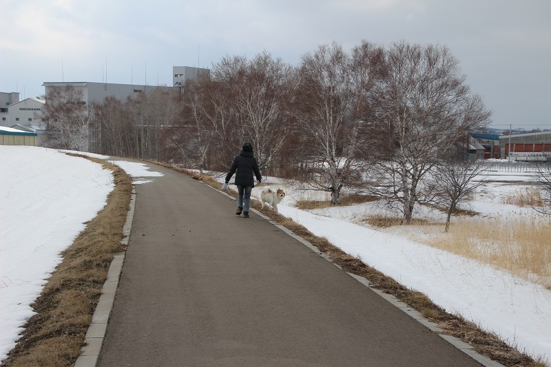 ファイル 38-2.jpg