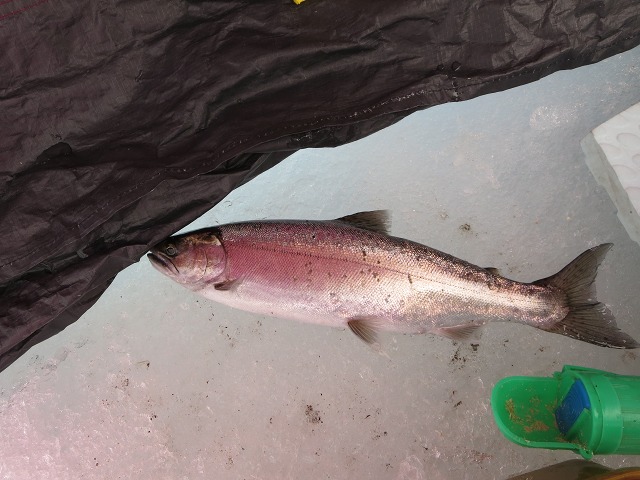 ファイル 39-5.jpg