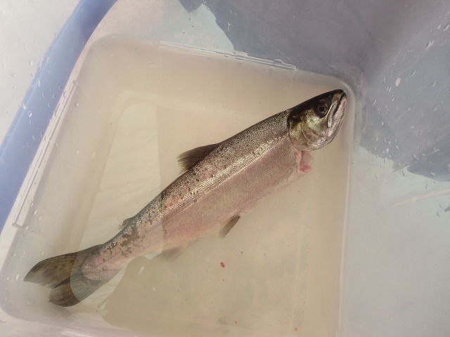 ファイル 39-6.jpg