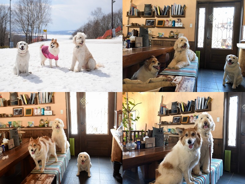 ファイル 39-9.jpg