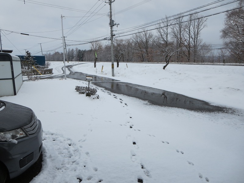 ファイル 40-1.jpg