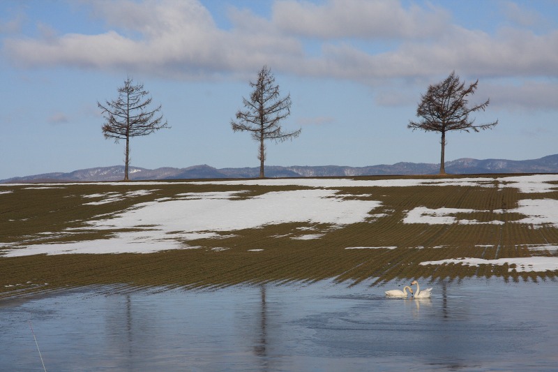 ファイル 40-2.jpg