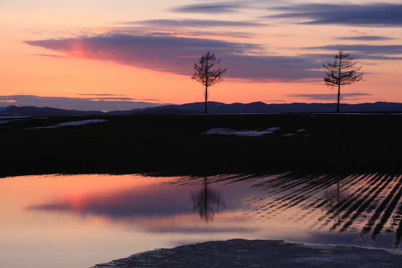 ファイル 40-4.jpg