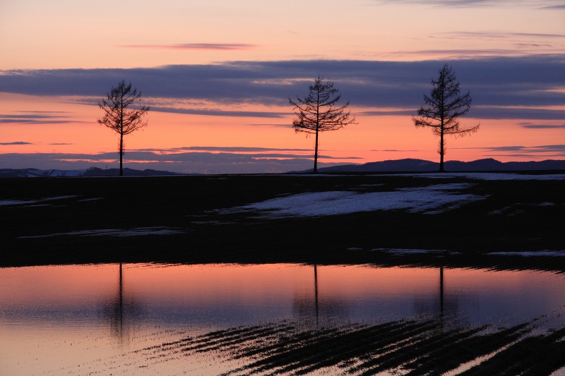 ファイル 40-6.jpg