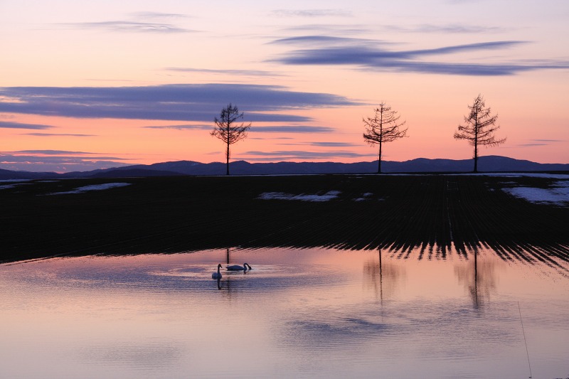 ファイル 40-7.jpg