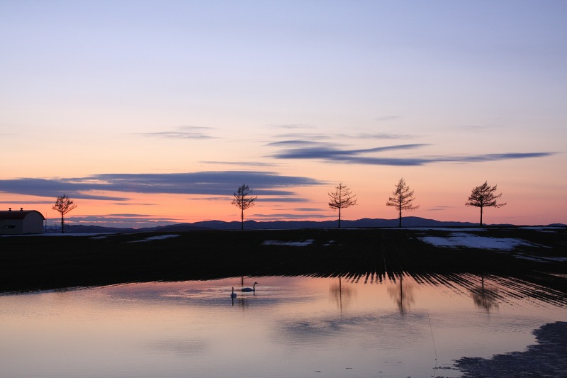 ファイル 40-8.jpg