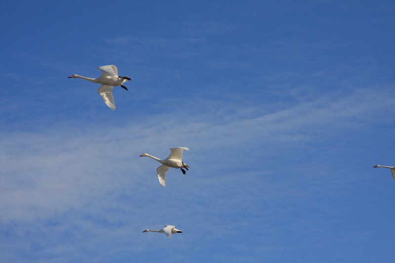 ファイル 41-3.jpg