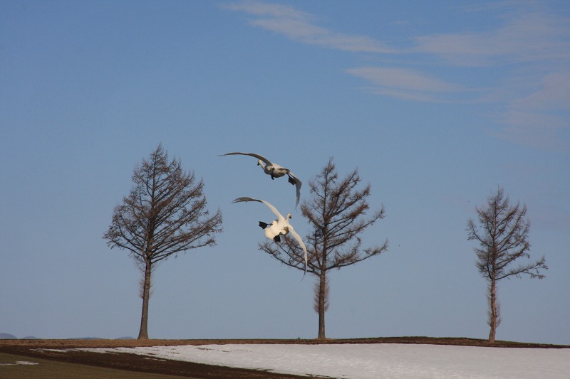 ファイル 41-4.jpg