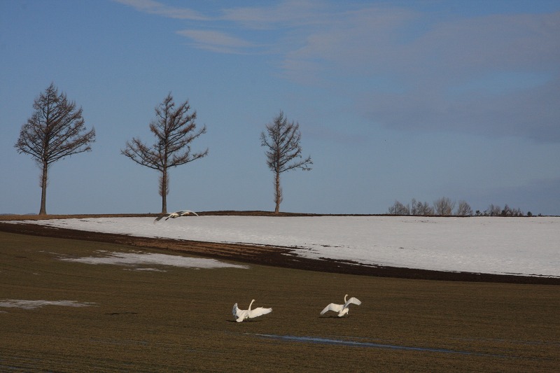 ファイル 41-5.jpg