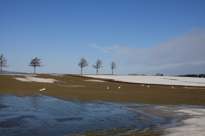 ファイル 41-6.jpg