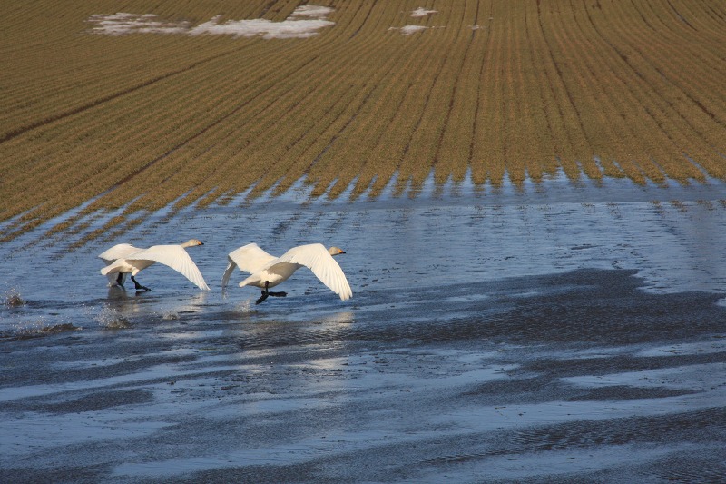 ファイル 41-7.jpg