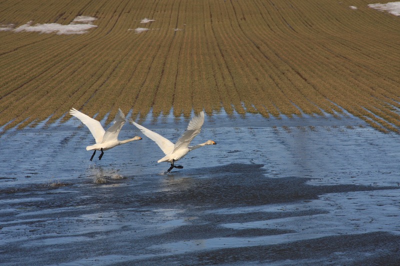 ファイル 41-8.jpg