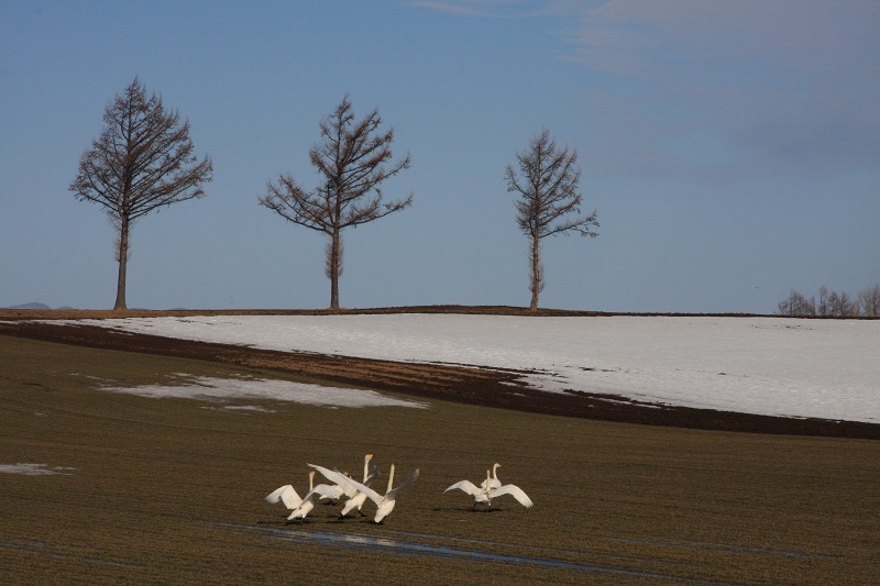 ファイル 41-9.jpg