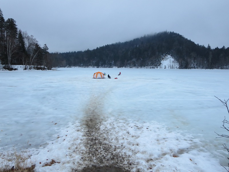 ファイル 42-1.jpg