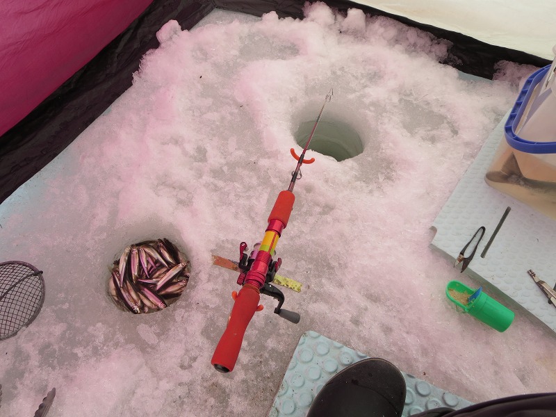 ファイル 42-4.jpg