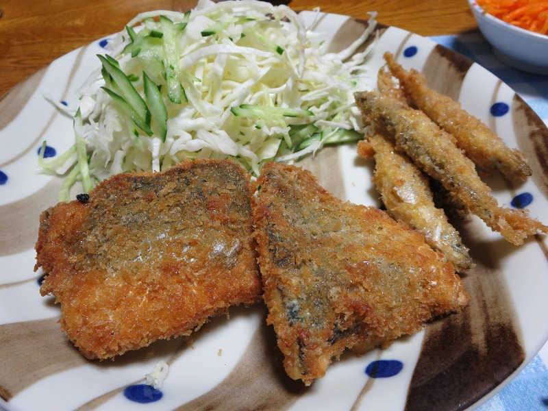 ファイル 42-9.jpg