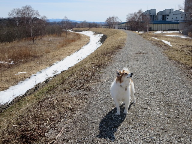 ファイル 43-7.jpg