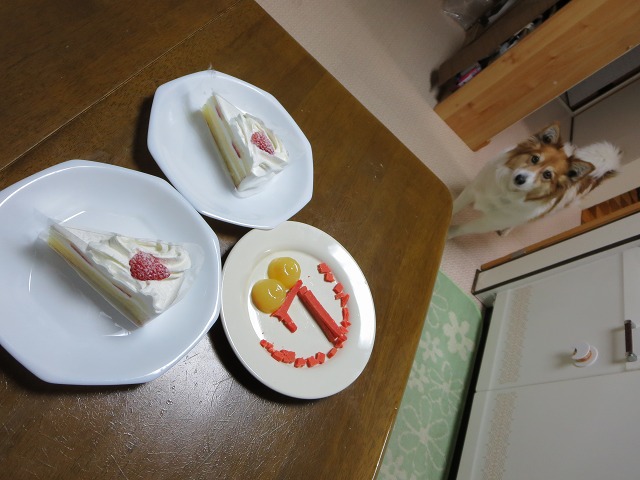 ファイル 45-4.jpg