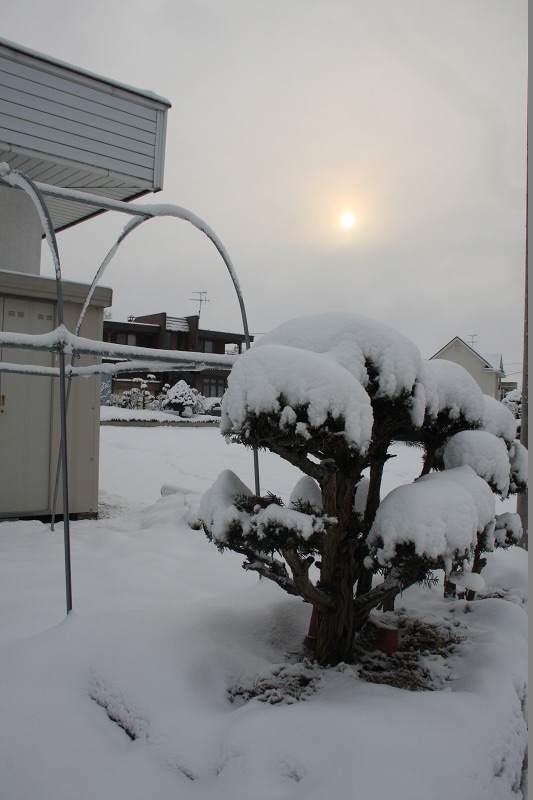 ファイル 46-1.jpg