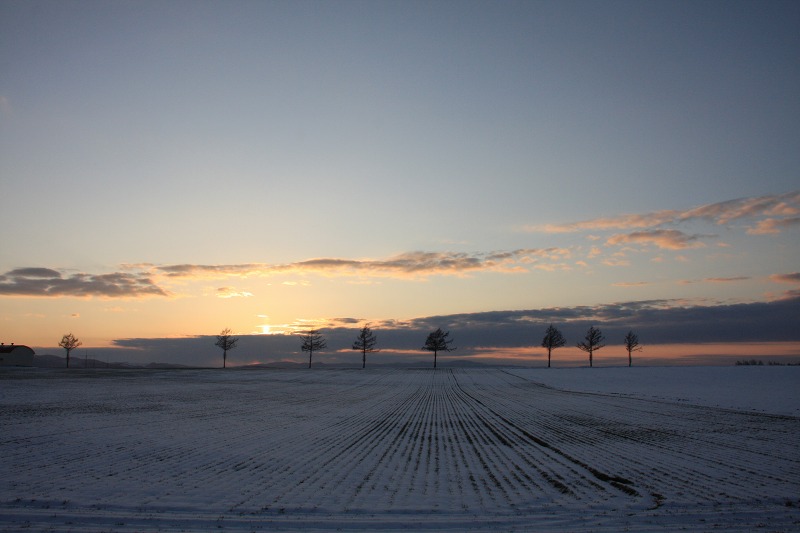 ファイル 46-6.jpg